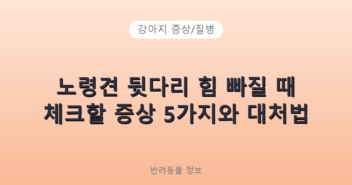 노령견 뒷다리 힘 빠질 때 체크할 증상 5가지와 대처법 - 강아지 증상/질병 테니스 콘텐츠 이미지