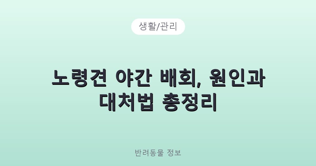 노령견 야간 배회, 원인과 대처법 총정리 - 생활/관리 관련 콘텐츠