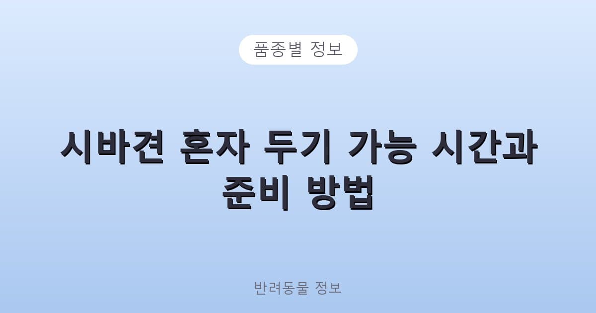시바견 혼자 두기 가능 시간과 준비 방법 - 품종별 정보 테니스 콘텐츠 이미지