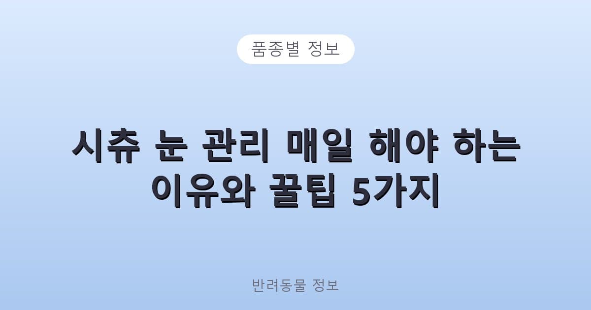 시츄 눈 관리 매일 해야 하는 이유와 꿀팁 5가지 - 품종별 정보 테니스 콘텐츠 이미지