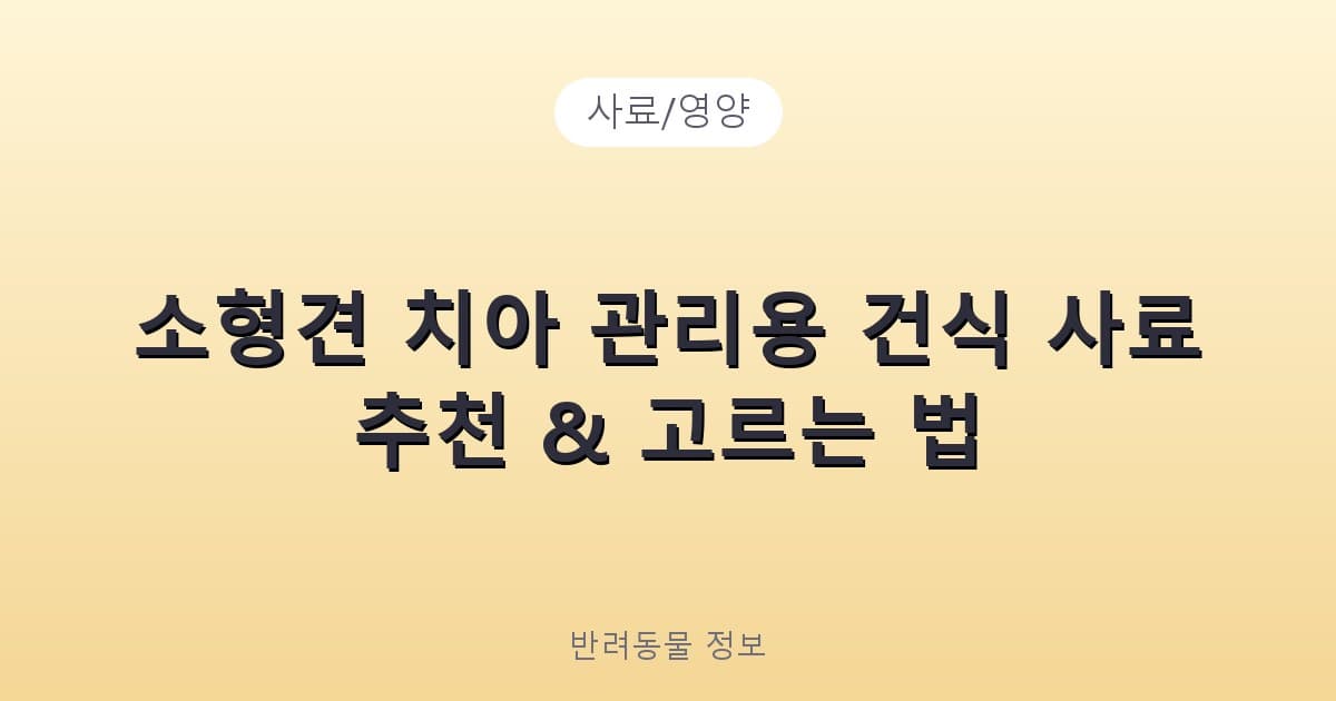 소형견 치아 관리용 건식 사료 추천 & 고르는 법 - 사료/영양 테니스 콘텐츠 이미지