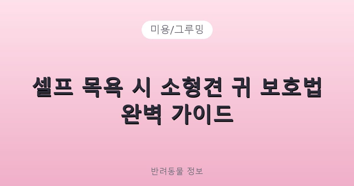 셀프 목욕 시 소형견 귀 보호법 완벽 가이드 - 미용/그루밍 테니스 콘텐츠 이미지