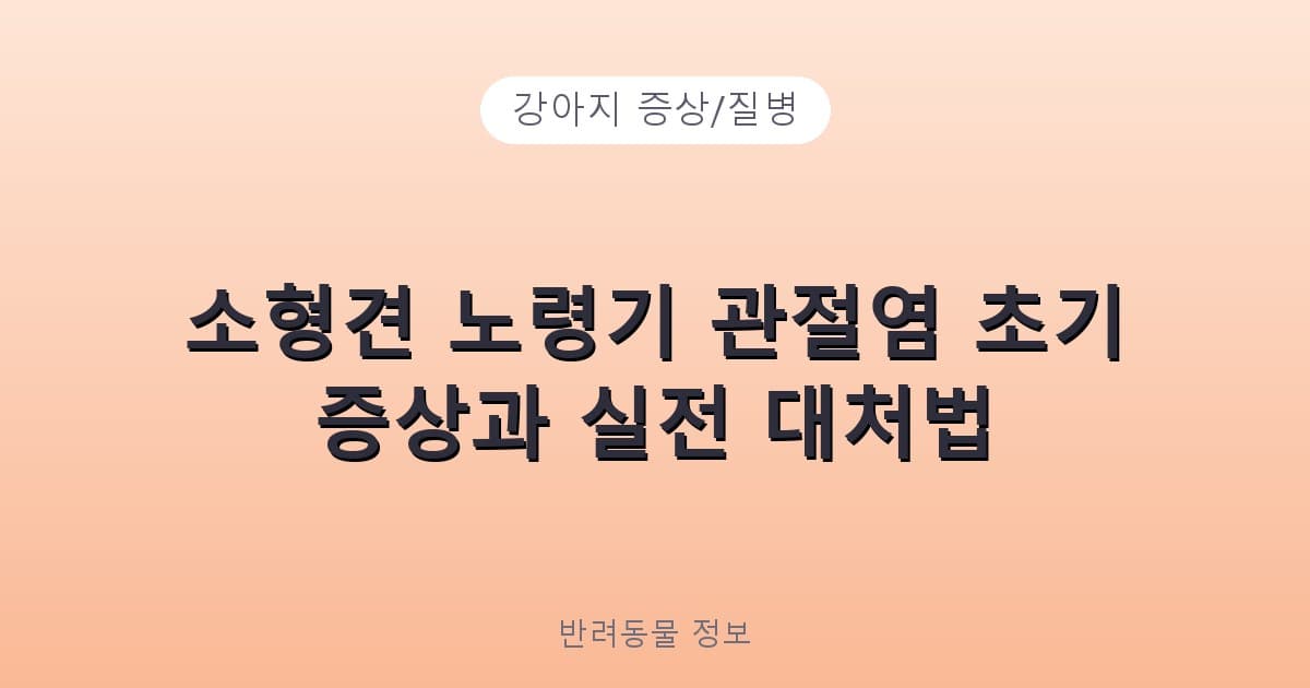 소형견 노령기 관절염 초기 증상과 실전 대처법 - 강아지 증상/질병 테니스 콘텐츠 이미지