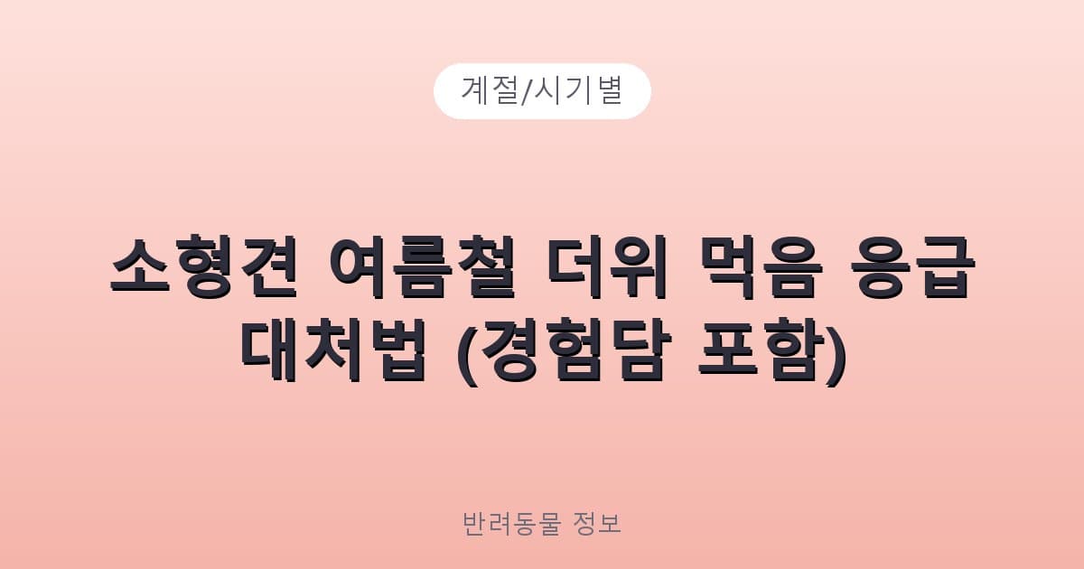 소형견 여름철 더위 먹음 응급 대처법 (경험담 포함) - 계절/시기별 테니스 콘텐츠 이미지