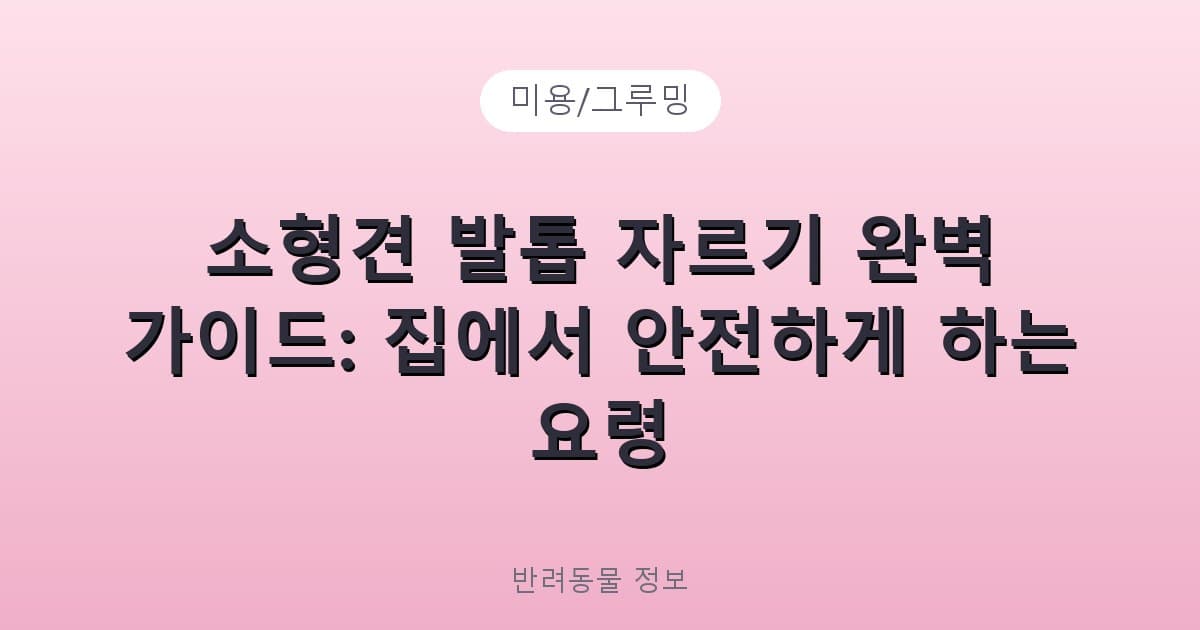 소형견 발톱 자르기 완벽 가이드: 집에서 안전하게 하는 요령 - 미용/그루밍 테니스 콘텐츠 이미지