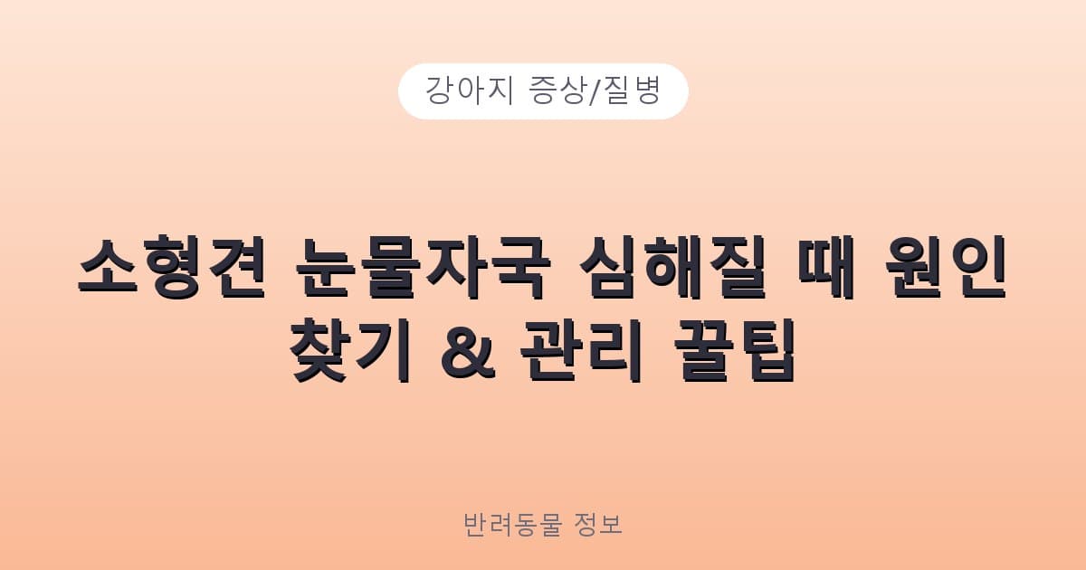 소형견 눈물자국 심해질 때 원인 찾기 & 관리 꿀팁 - 강아지 증상/질병 테니스 콘텐츠 이미지