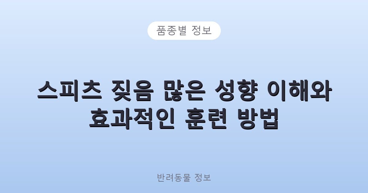 스피츠 짖음 많은 성향 이해와 효과적인 훈련 방법 - 품종별 정보 테니스 콘텐츠 이미지