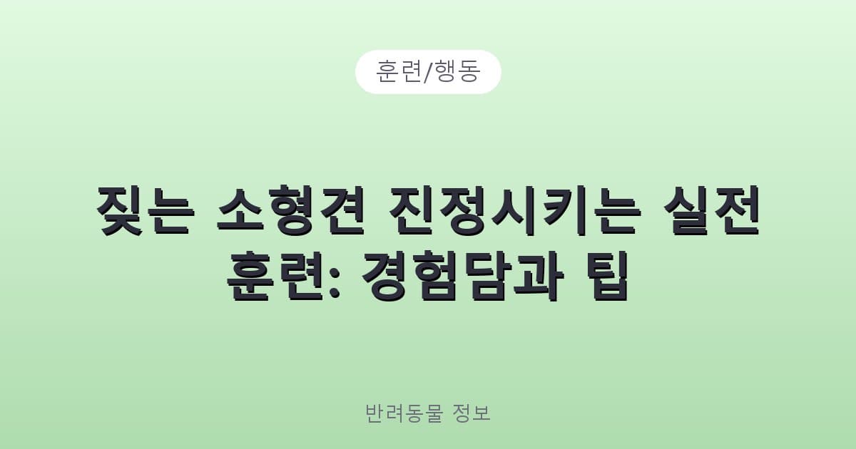 짖는 소형견 진정시키는 실전 훈련: 경험담과 팁 - 훈련/행동 테니스 콘텐츠 이미지