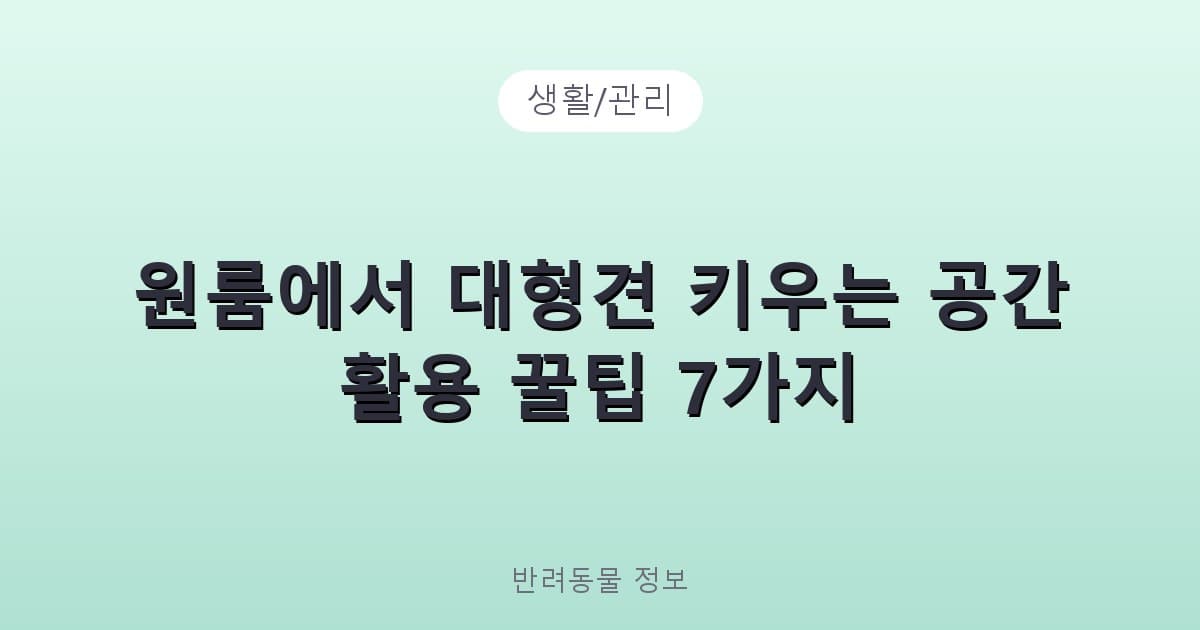 원룸에서 대형견 키우는 공간 활용 꿀팁 7가지 - 생활/관리 테니스 콘텐츠 이미지