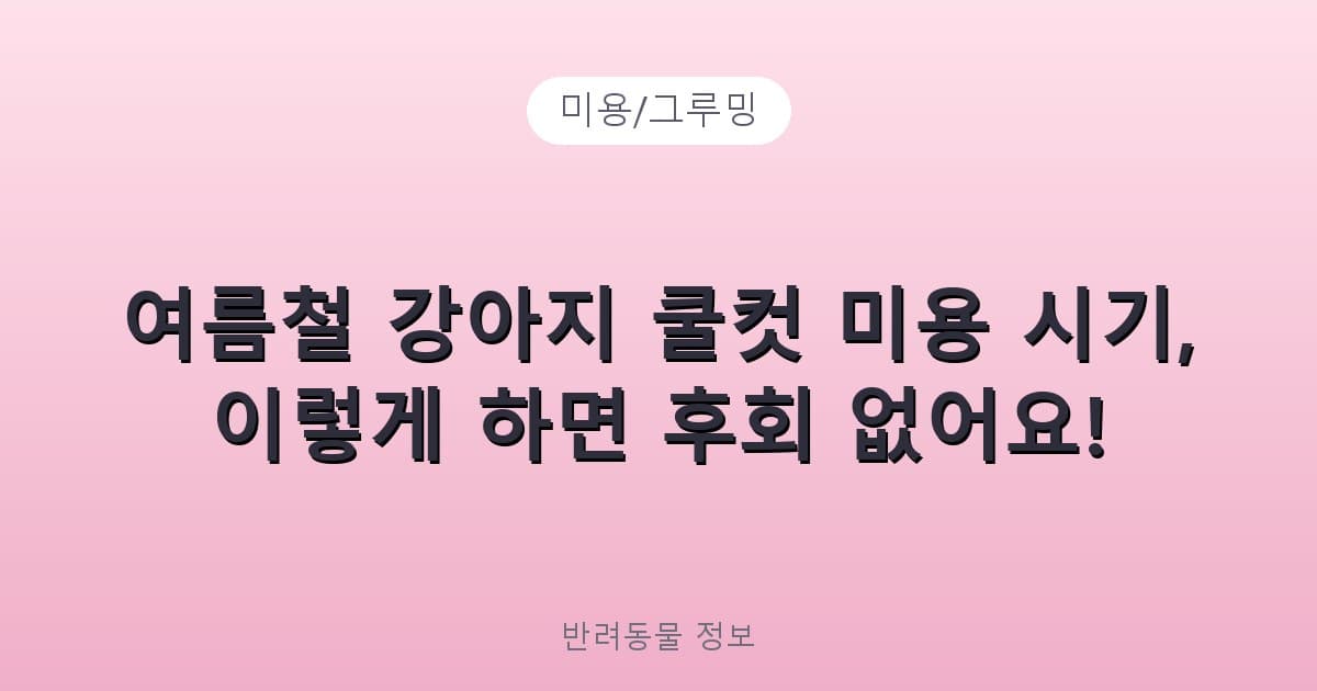 여름철 강아지 쿨컷 미용 시기, 이렇게 하면 후회 없어요! - 미용/그루밍 테니스 콘텐츠 이미지