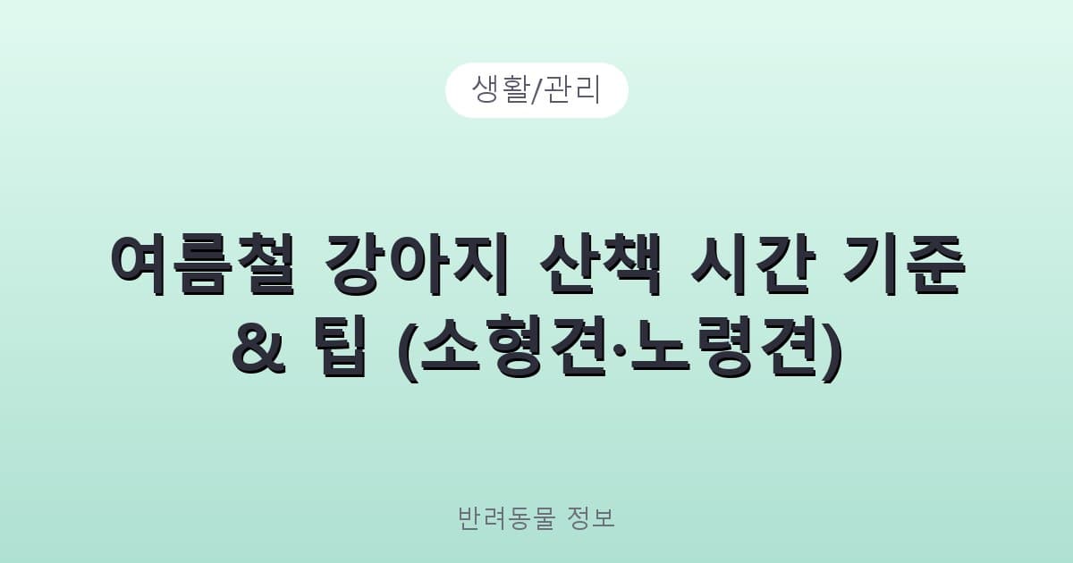 여름철 강아지 산책 시간 기준 & 팁 (소형견·노령견) - 생활/관리 테니스 콘텐츠 이미지