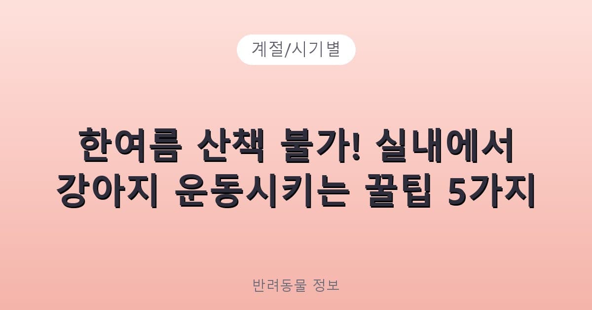 한여름 산책 불가! 실내에서 강아지 운동시키는 꿀팁 5가지 - 계절/시기별 테니스 콘텐츠 이미지