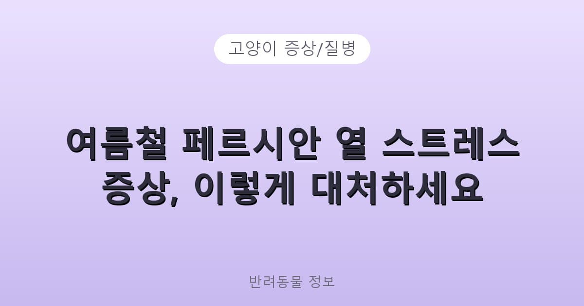 여름철 페르시안 열 스트레스 증상, 이렇게 대처하세요 - 고양이 증상/질병 테니스 콘텐츠 이미지