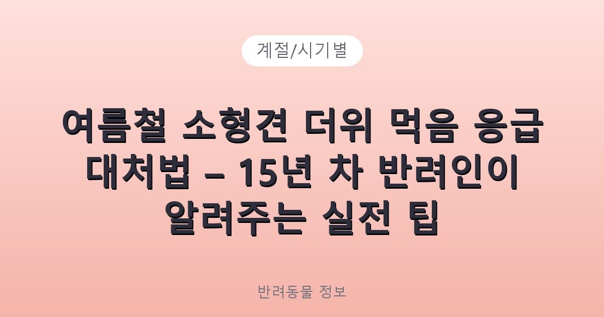 여름철 소형견 더위 먹음 응급 대처법 – 15년 차 반려인이 알려주는 실전 팁 - 계절/시기별 테니스 콘텐츠 이미지