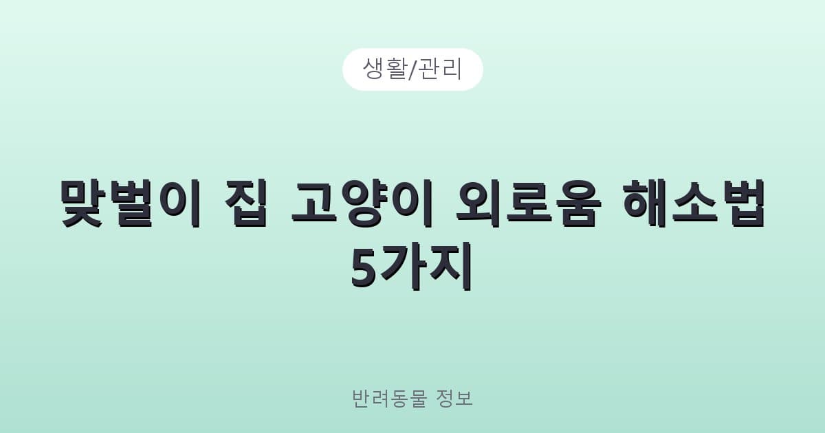 맞벌이 집 고양이 외로움 해소법 5가지 - 생활/관리 테니스 콘텐츠 이미지