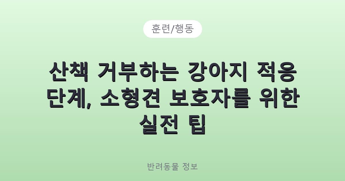 산책 거부하는 강아지 적응 단계, 소형견 보호자를 위한 실전 팁 - 훈련/행동 테니스 콘텐츠 이미지