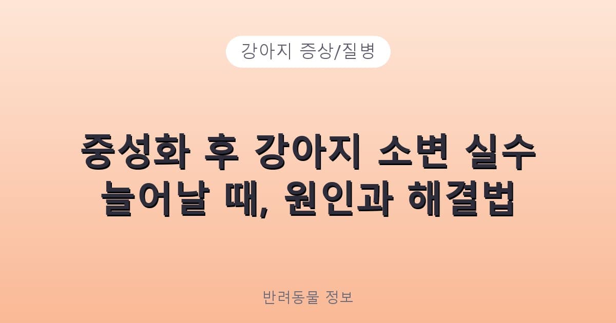 중성화 후 강아지 소변 실수 늘어날 때, 원인과 해결법 - 강아지 증상/질병 테니스 콘텐츠 이미지