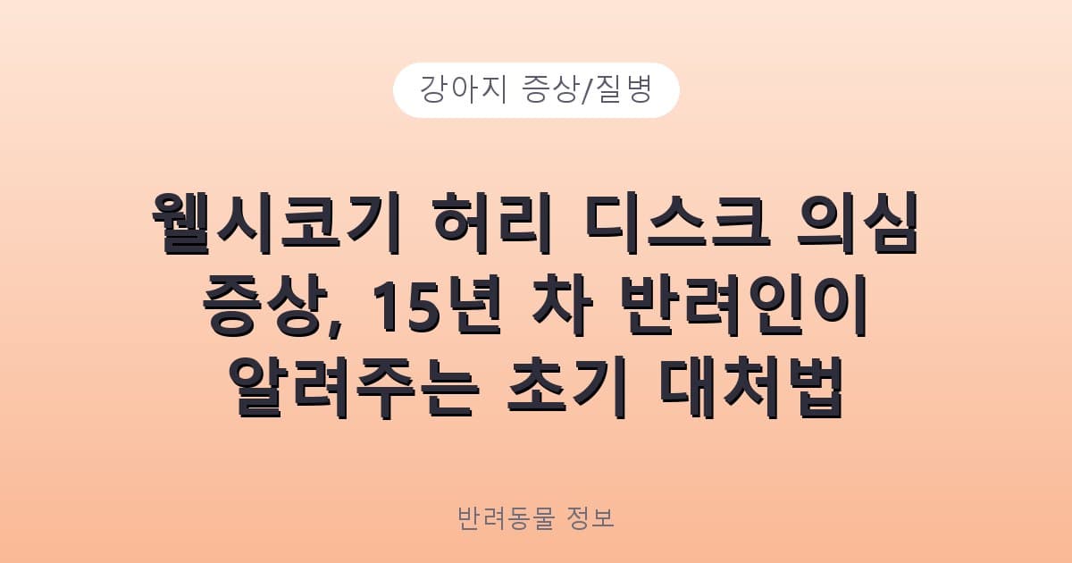 웰시코기 허리 디스크 의심 증상, 15년 차 반려인이 알려주는 초기 대처법 - 강아지 증상/질병 테니스 콘텐츠 이미지