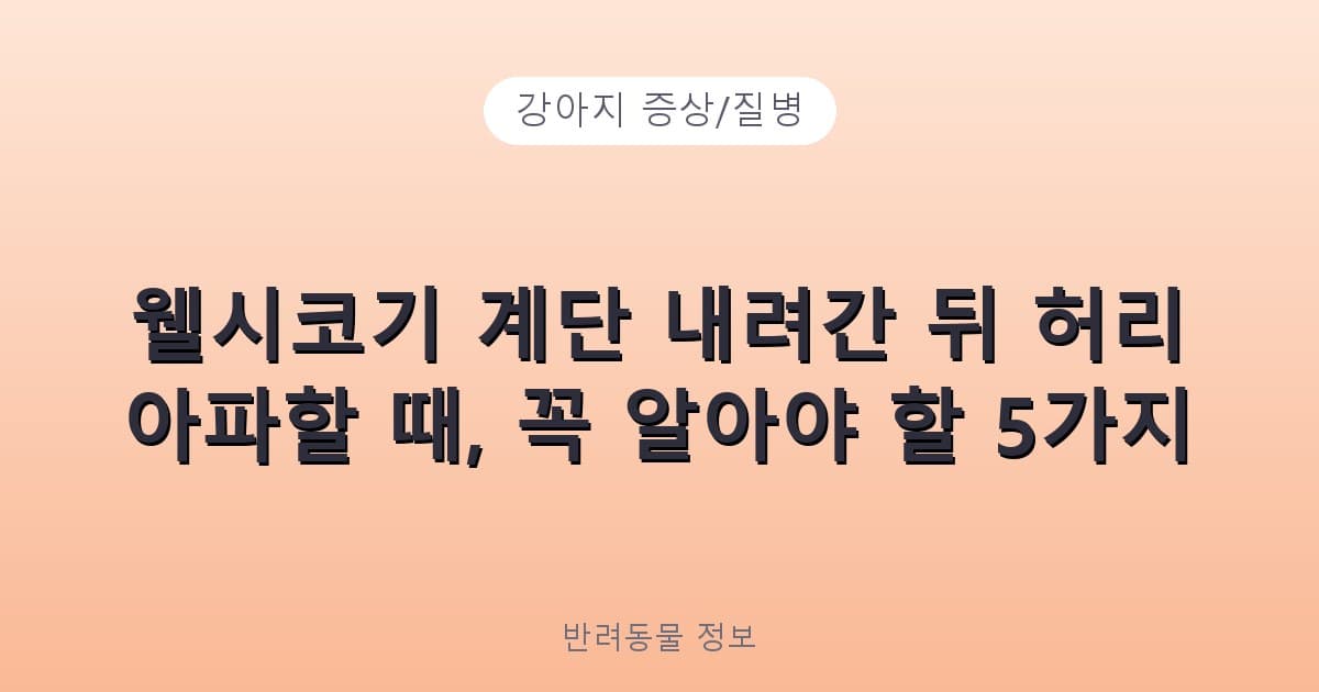 웰시코기 계단 내려간 뒤 허리 아파할 때, 꼭 알아야 할 5가지 - 강아지 증상/질병 테니스 콘텐츠 이미지