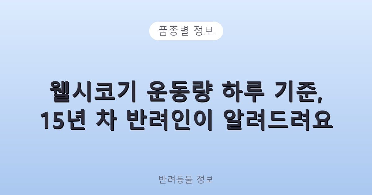 웰시코기 운동량 하루 기준, 15년 차 반려인이 알려드려요 - 품종별 정보 테니스 콘텐츠 이미지