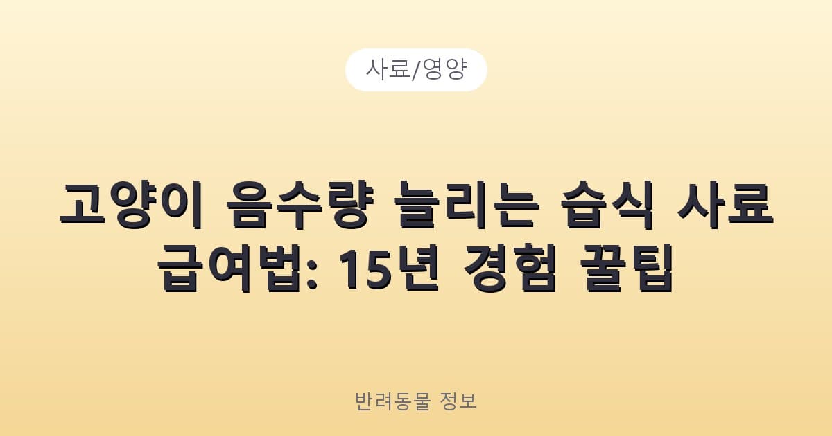 고양이 음수량 늘리는 습식 사료 급여법: 15년 경험 꿀팁 - 사료/영양 테니스 콘텐츠 이미지