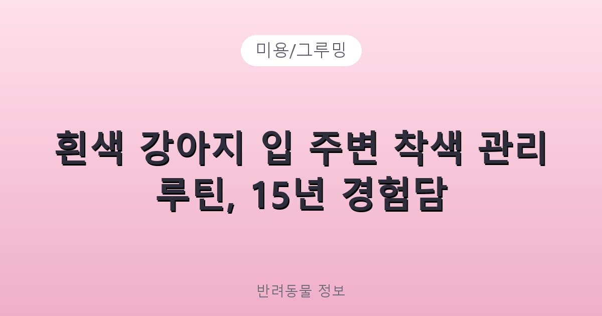 흰색 강아지 입 주변 착색 관리 루틴, 15년 경험담 - 미용/그루밍 관련 콘텐츠