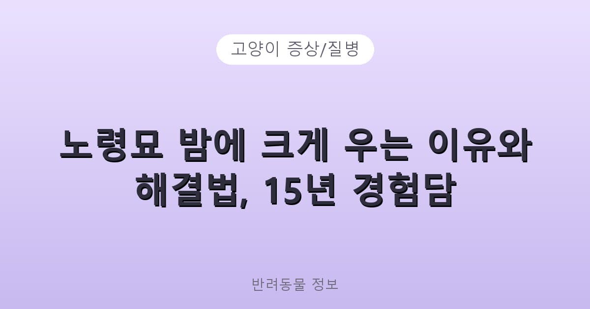 노령묘 밤에 크게 우는 이유와 해결법, 15년 경험담 - 고양이 증상/질병 테니스 콘텐츠 이미지