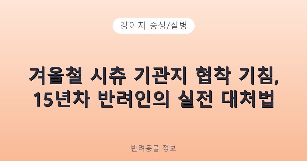 겨울철 시츄 기관지 협착 기침, 15년차 반려인의 실전 대처법 - 강아지 증상/질병 테니스 콘텐츠 이미지