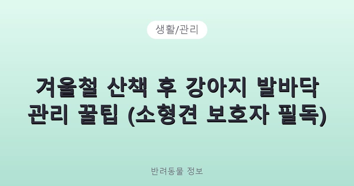 겨울철 산책 후 강아지 발바닥 관리 꿀팁 (소형견 보호자 필독) - 생활/관리 테니스 콘텐츠 이미지