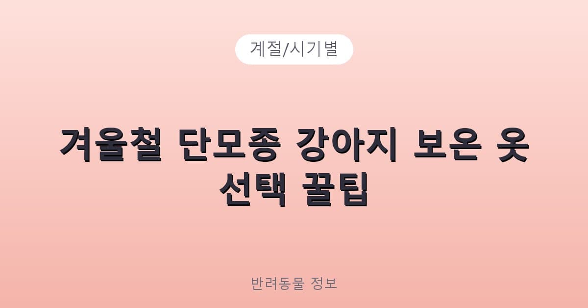 겨울철 단모종 강아지 보온 옷 선택 꿀팁 - 계절/시기별 테니스 콘텐츠 이미지