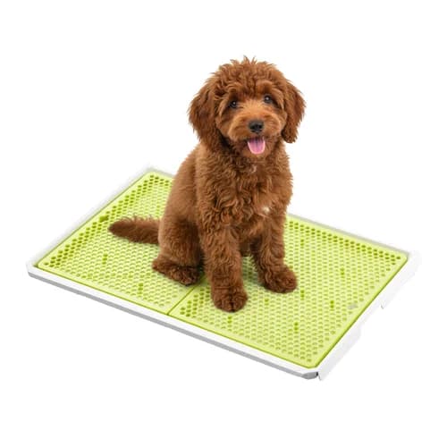 요기펫 강아지 배변판 화장실 배변매트 연장형 W자이언트 요기 토일렛 - 배변판 제품 이미지, 테니스 뇌피셜