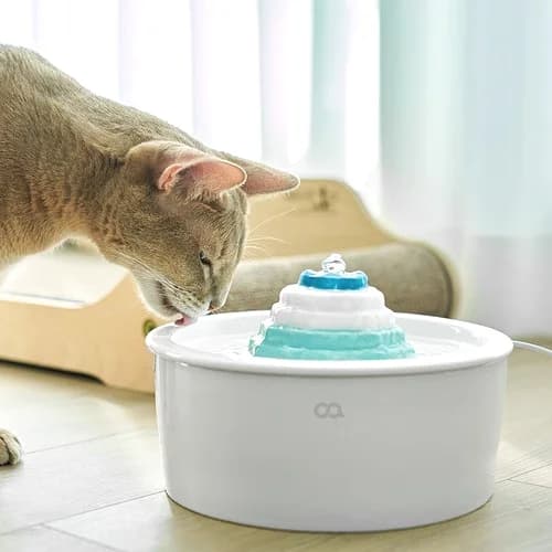 오아 이리와 펫 자동급수기 OWS-002WH - 펫정수형급수기 제품 이미지, 테니스 뇌피셜
