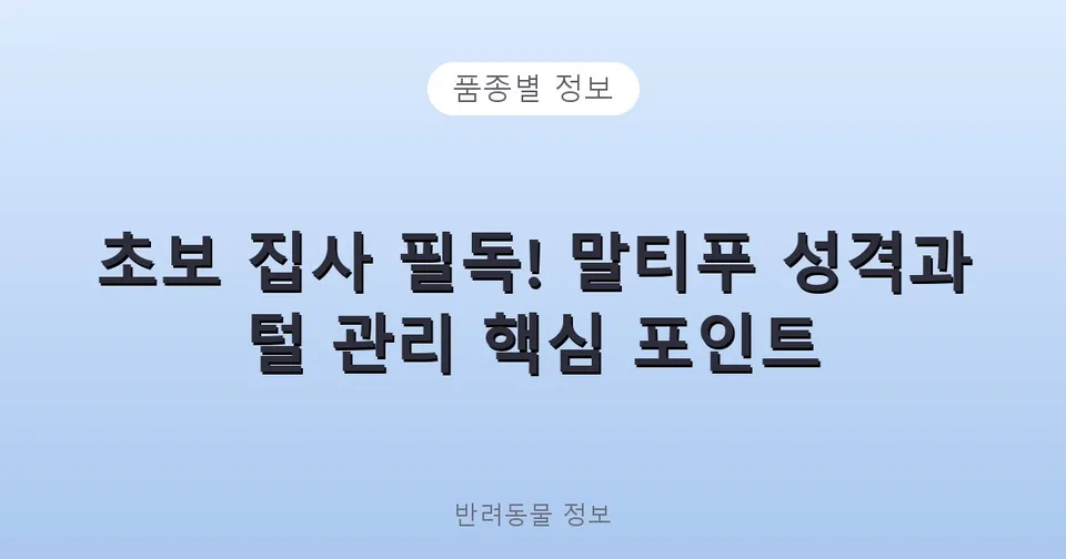 초보 집사 필독! 말티푸 성격과 털 관리 핵심 포인트