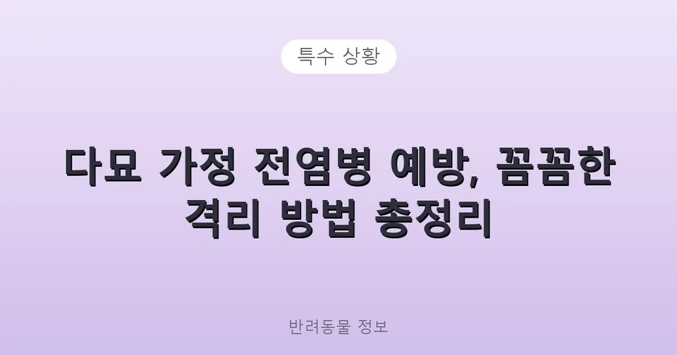 다묘 가정 전염병 예방, 꼼꼼한 격리 방법 총정리