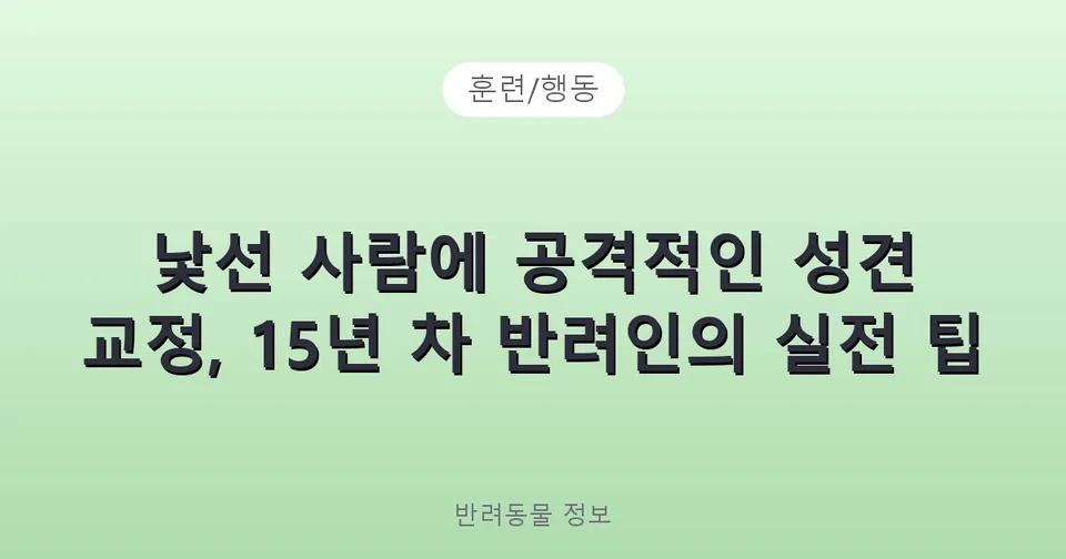 낯선 사람에 공격적인 성견 교정, 15년 차 반려인의 실전 팁