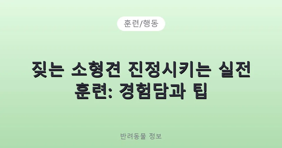 짖는 소형견 진정시키는 실전 훈련: 경험담과 팁