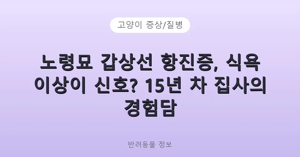 노령묘 갑상선 항진증, 식욕 이상이 신호? 15년 차 집사의 경험담