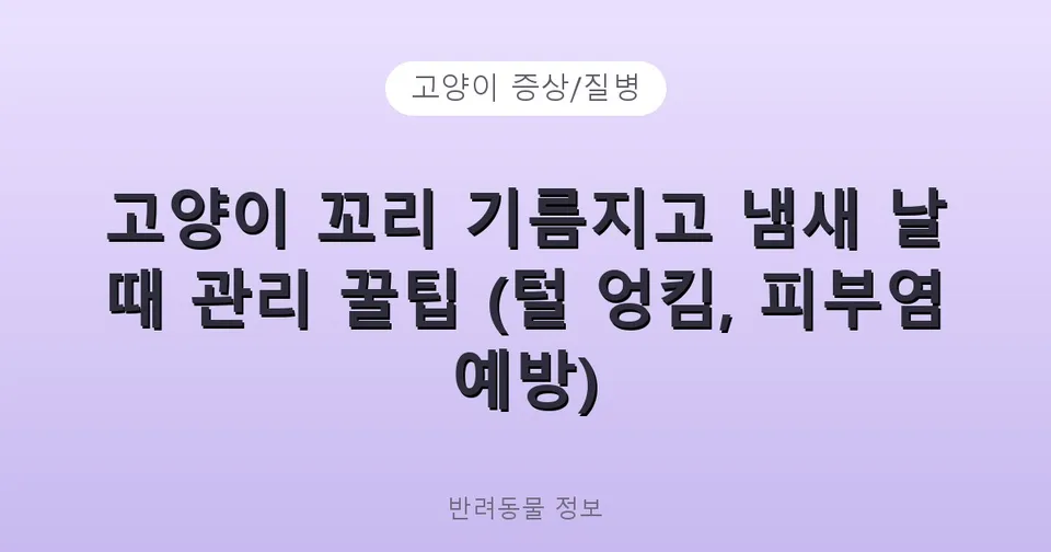 고양이 꼬리 기름지고 냄새 날 때 관리 꿀팁 (털 엉킴, 피부염 예방)