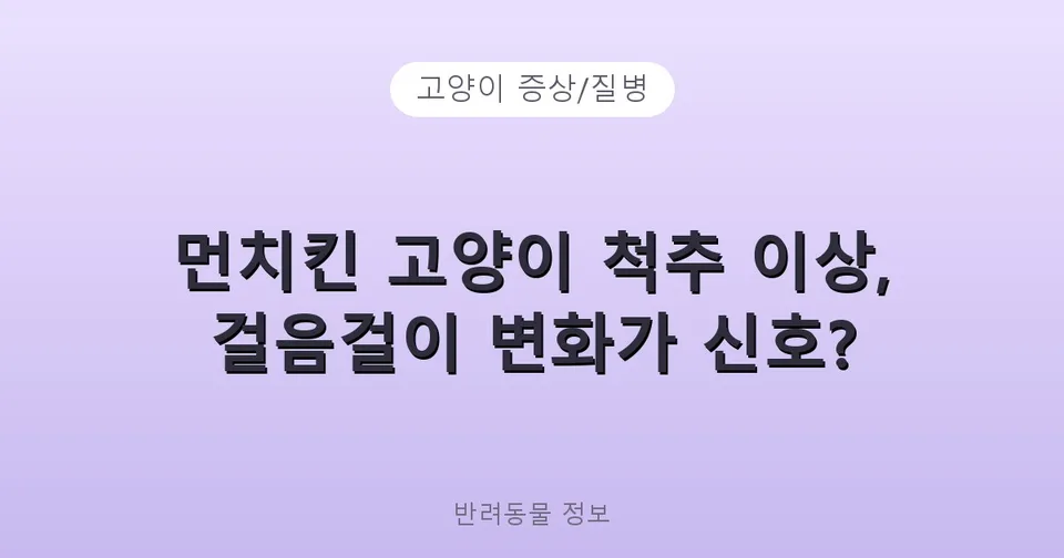 먼치킨 고양이 척추 이상, 걸음걸이 변화가 신호?