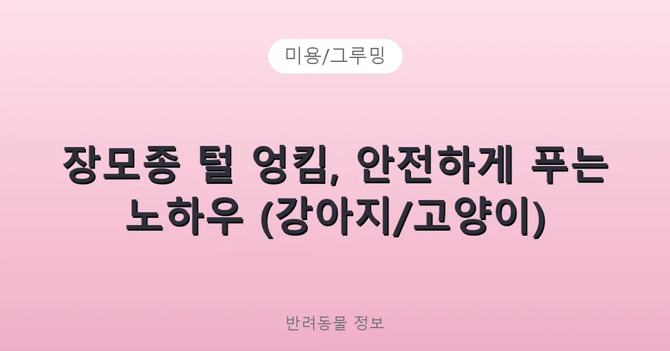장모종 털 엉킴, 안전하게 푸는 노하우 (강아지/고양이)