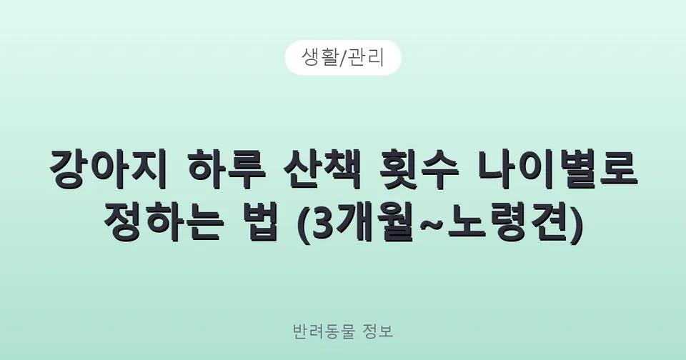강아지 하루 산책 횟수 나이별로 정하는 법 (3개월~노령견)