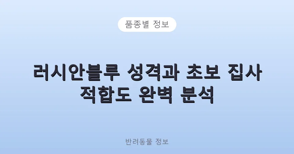 러시안블루 성격과 초보 집사 적합도 완벽 분석