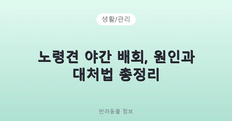 노령견 야간 배회, 원인과 대처법 총정리