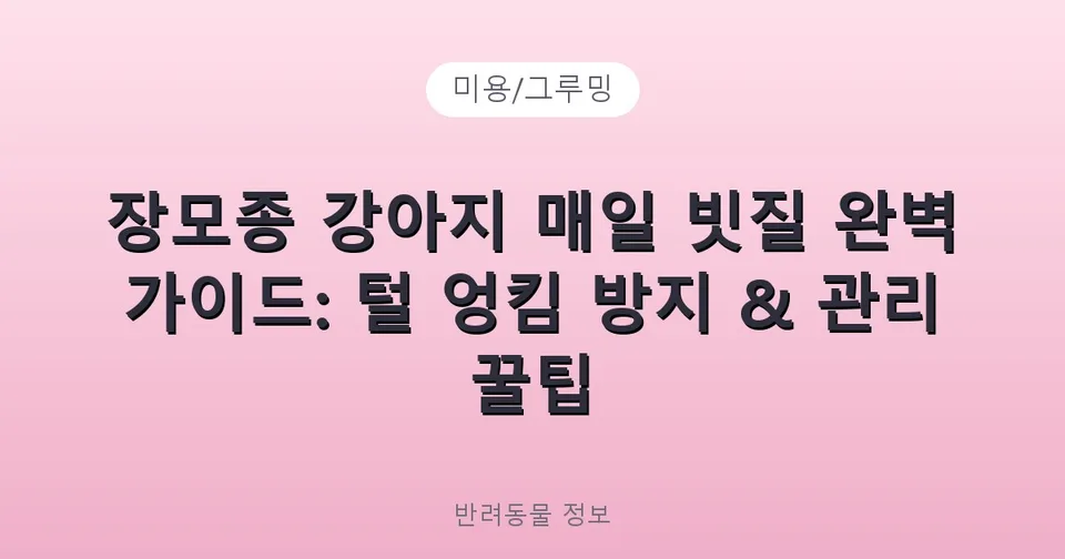 장모종 강아지 매일 빗질 완벽 가이드: 털 엉킴 방지 & 관리 꿀팁
