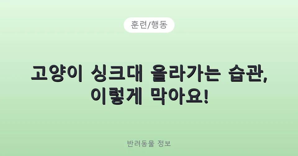 고양이 싱크대 올라가는 습관, 이렇게 막아요!