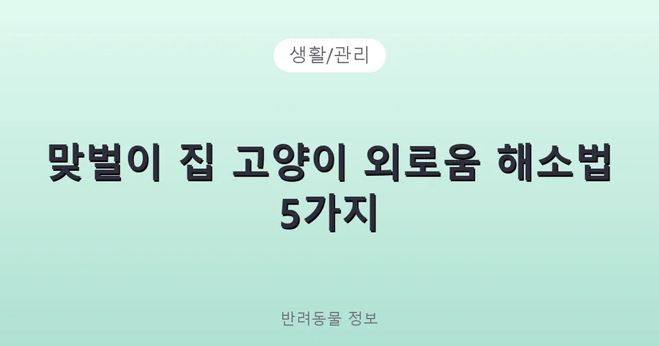 맞벌이 집 고양이 외로움 해소법 5가지