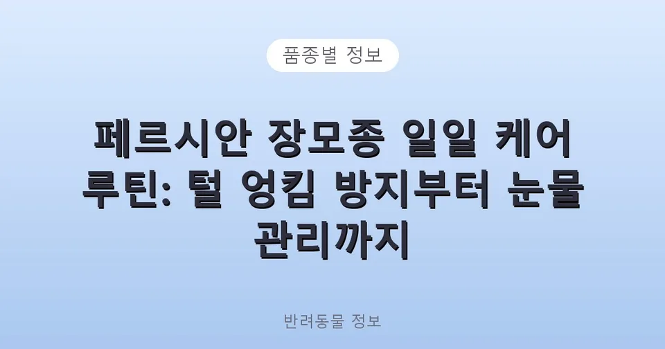 페르시안 장모종 일일 케어 루틴: 털 엉킴 방지부터 눈물 관리까지