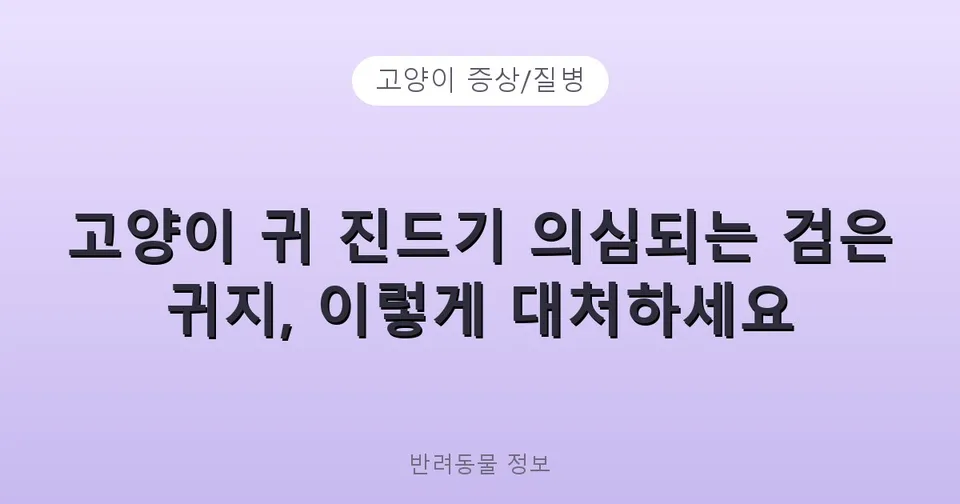 고양이 귀 진드기 의심되는 검은 귀지, 이렇게 대처하세요