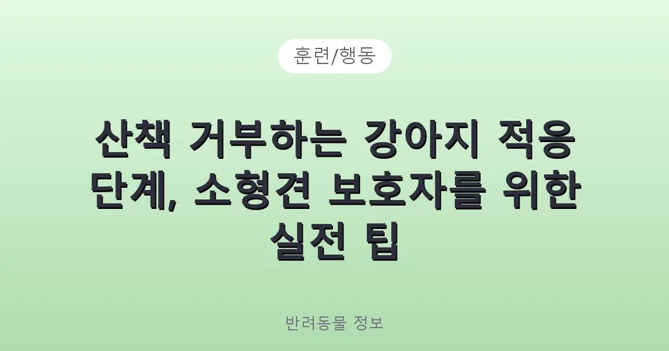 산책 거부하는 강아지 적응 단계, 소형견 보호자를 위한 실전 팁