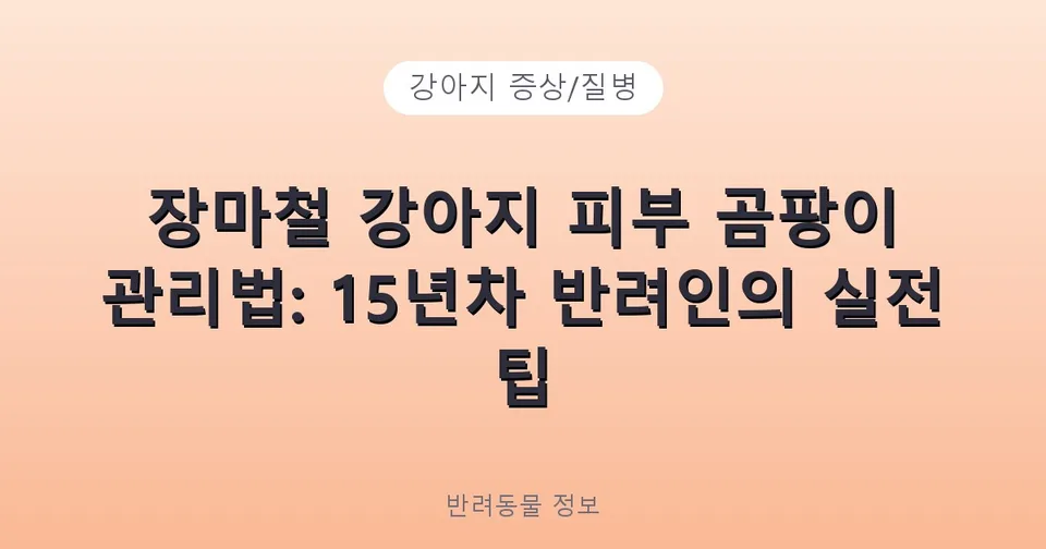 장마철 강아지 피부 곰팡이 관리법: 15년차 반려인의 실전 팁